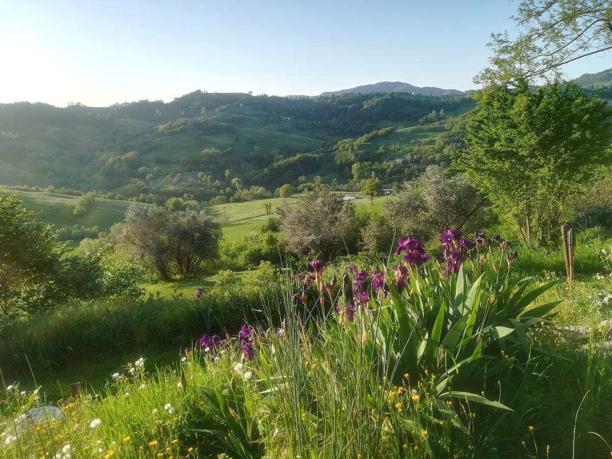 B&B Casa Della Musica Vezzano sul Crostolo Buitenkant foto